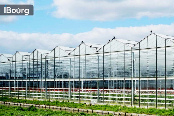The Benefits of Anti Insect Nets in Increasing Agriculture Growth: A Comprehensive Guide